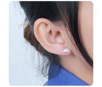 Silver Studs Earring STS-741